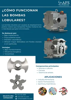 Infografía: ¿Cómo funcionan las bombas lobulares?